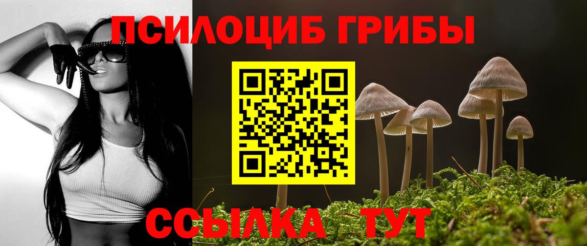 Галлюциногенные грибы ЛСД  Вход с VPN  даркнет сайт  Сергиев Посад  Псилоцибиновые грибы Psilocybine cubensis 